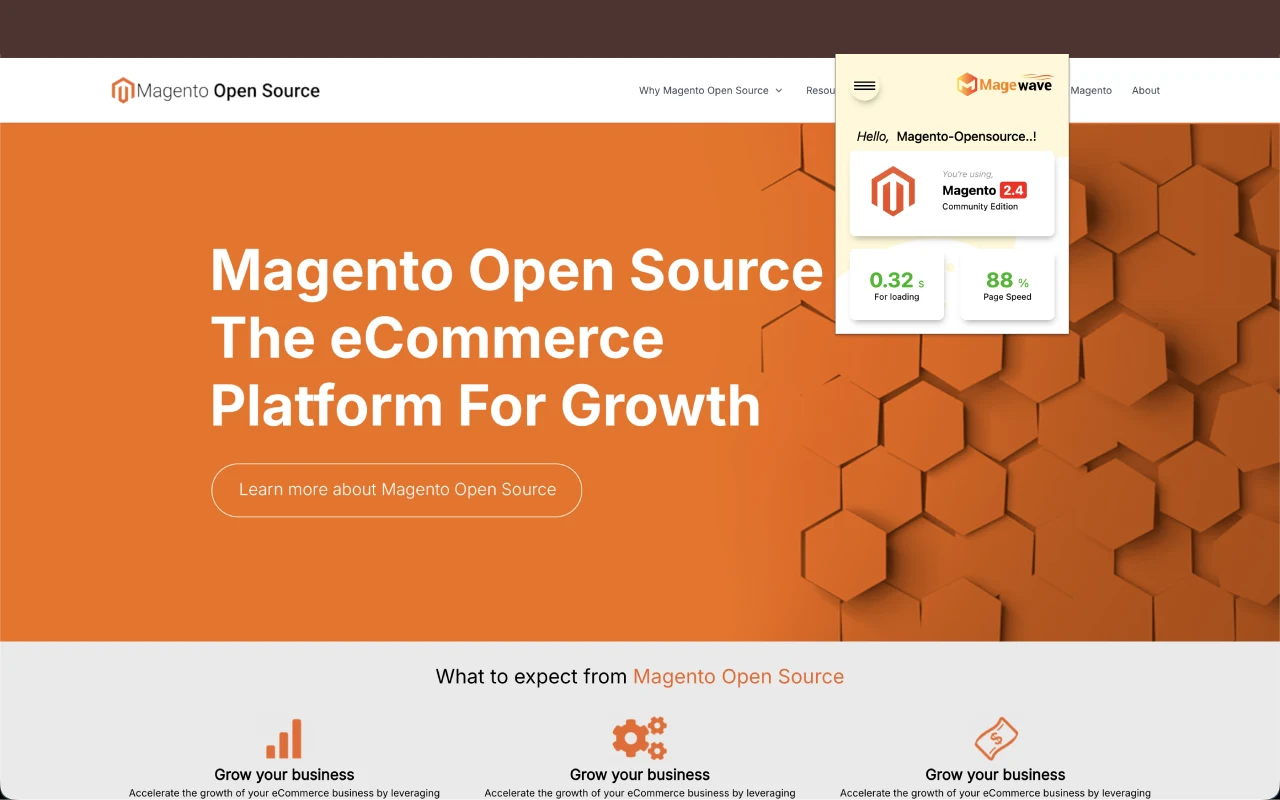 Magewave extension detecting Magento in its official product demonstration.